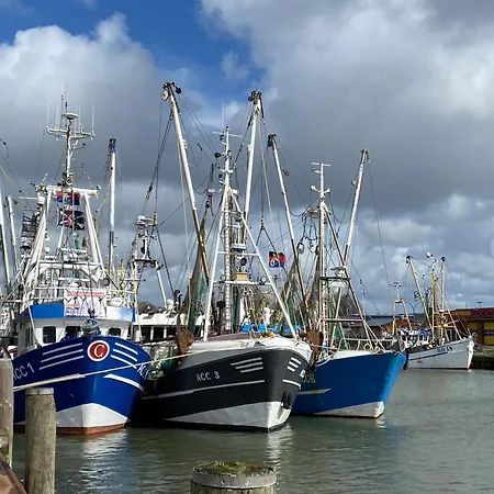 Daire Haus Seehunde Im Buesumer Kurviertel Büsum