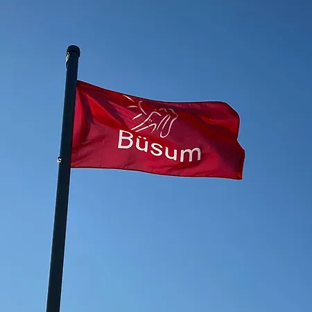 Daire Haus Seehunde Im Buesumer Kurviertel Büsum