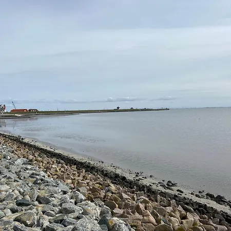 Daire Haus Seehunde Im Buesumer Kurviertel Büsum