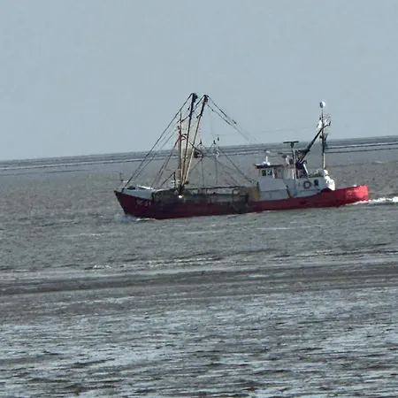 Haus Seehunde Im Buesumer Kurviertel Büsum