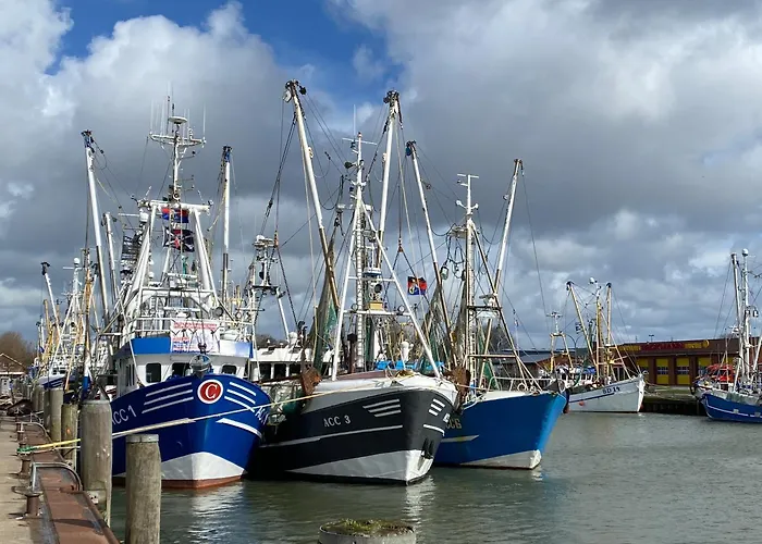 Appartement Haus Seehunde Im Buesumer Kurviertel Büsum