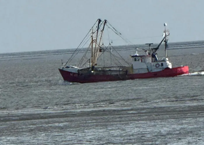 Haus Seehunde Im Buesumer Kurviertel Büsum